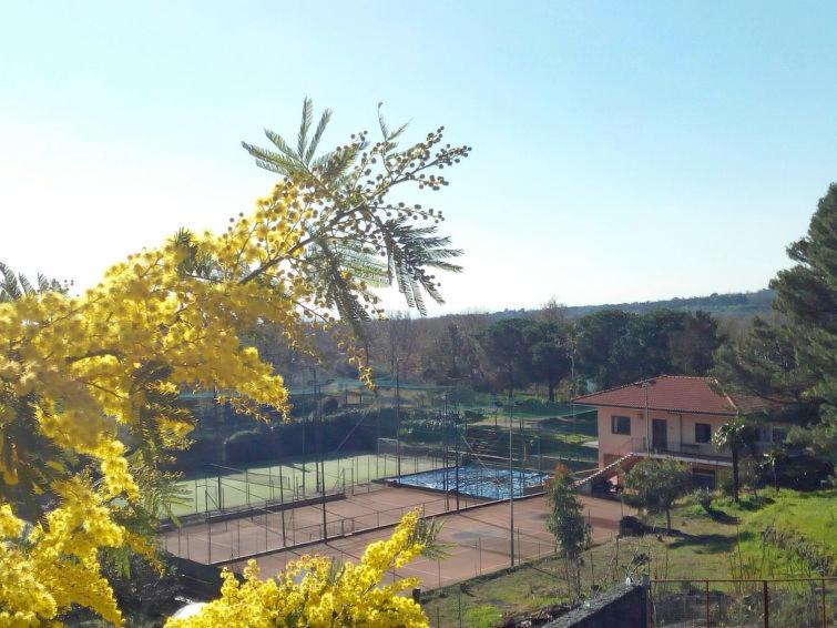 Villa Mimosa Zafferana Etnea Exterior foto